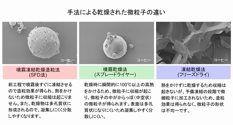 噴霧凍結乾燥造粒法のご紹介