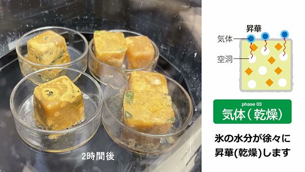 凍結乾燥してみました。食品01「お味噌汁」